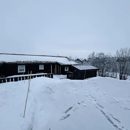 Large, Cozy, And Spacious In * يالو