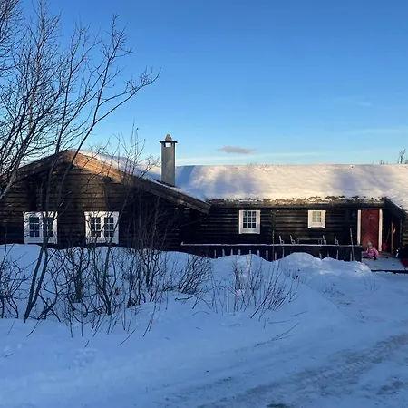 Ferienhaus Large, Cozy, And Spacious In Geilo, Kikut *