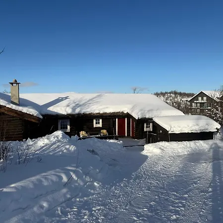 Casa vacanze Large, Cozy,&spacious In *