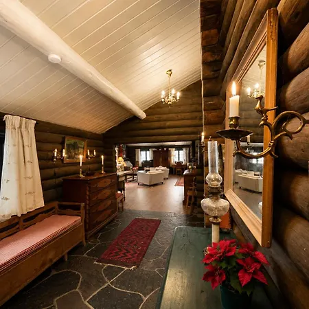 Ferienhaus Large, Cozy, And Spacious In Geilo, Kikut